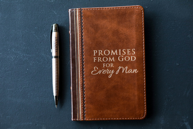 Promises from God for every man devotional
