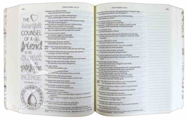 NLT Inspire Bible for creative journaling