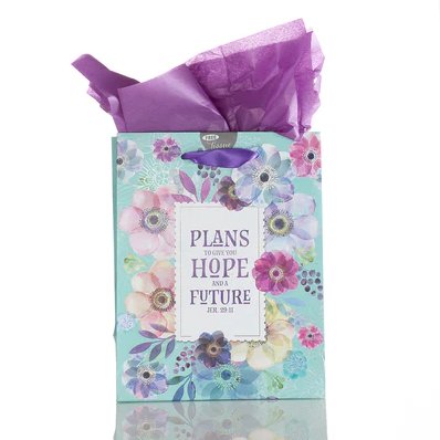 Gift bag Plans to give you hope