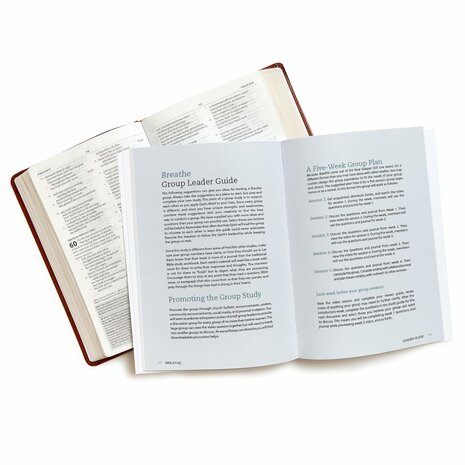 Breathe Bible study book