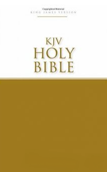 KJV Holy Bible economy