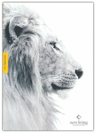 NLT Courage for Life Study Bible for men