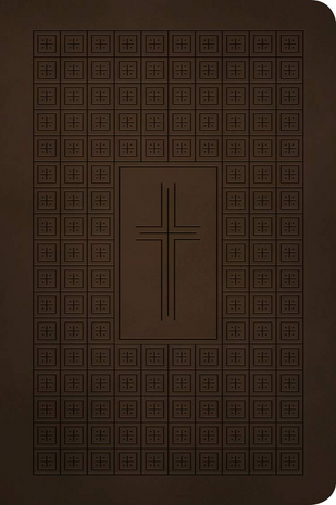 NLT Premium Value Thinline Bible bruin