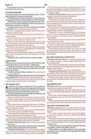 KJV Compact Bible roze