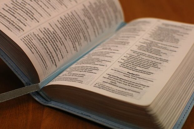 NIV Pocket Bible blauw softtone