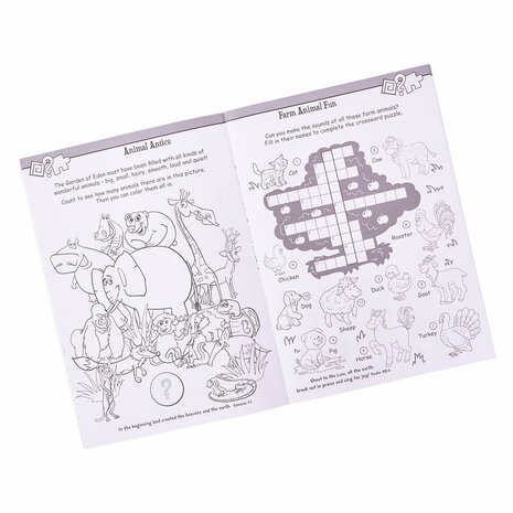 Bible Story Activity Fun 64 blz.
