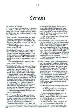 NLT Compact Bible rustiek bruin