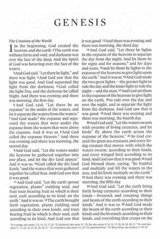 ESV Large Print Compact Bible bloemen