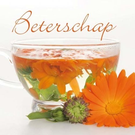 Beterschap