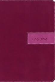 NIV Gift Bible Razzleberry