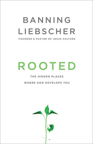 Rooted: The hidden places where God develops you