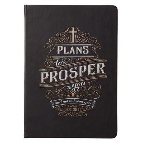 Plans to prosper Journal
