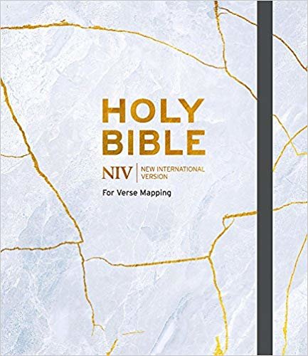 NIV Bible for Journalling