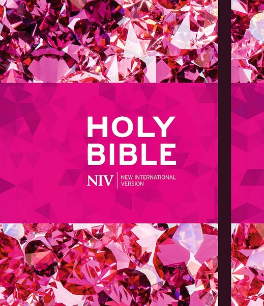 NIV Ruby Journalling Bible: Pink Metallic Hardback (Bible Niv) Hardcover