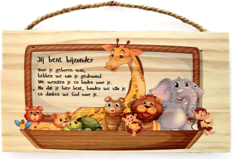 Wandbord Jij bent bijzonder 24,5 x 13 cm dieren