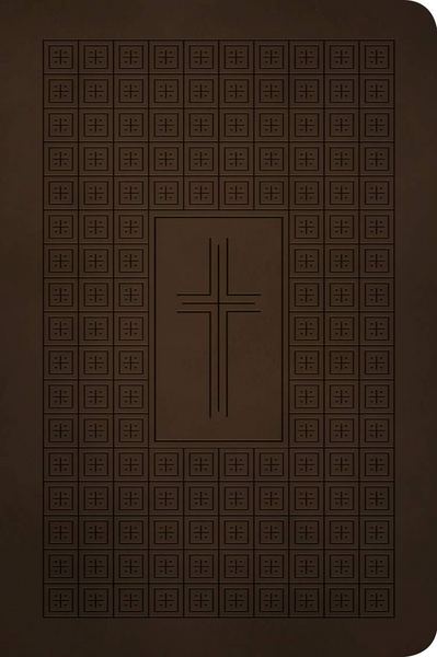 NLT Premium Value Thinline Bible bruin