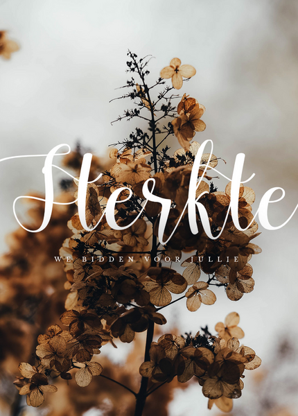 Minikaart Sterkte We bidden voor jullie (struik)