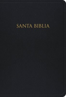 RVR Santa Biblia gift & award zwart nepleer
