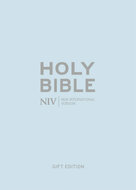 NIV Pocket Bible blauw softtone