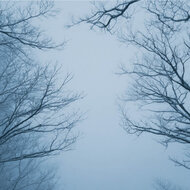 Kaart Winterlucht takken