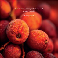 Kaart Herfstbessen Psalm 52:10b