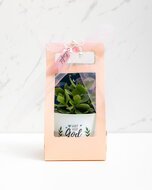 Moederdagspecial 'Geliefd'