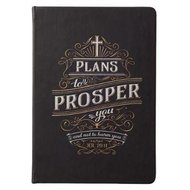 Plans to prosper Journal
