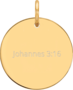 Hanger Johannes 3:16 goud rond 15 mm doorsnee