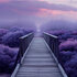 Kaart Houten brug paars