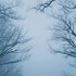Kaart Winterlucht takken