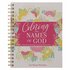 Coloring the names of God 