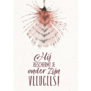 Onder Zijn vleugels - Board Onder Zijn vleugels - Board