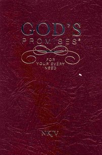 God's Promises For Your Every Need
