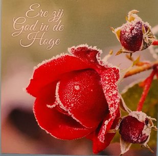 Kaart Night of the dear Savior's birth Kaart Night of the dear Savior's birth