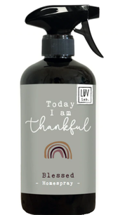 Homespray Today I am thankful Homespray Today I am thankful
