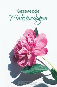 Kaart Gezegende Pinksterdagen bloem Kaart Gezegende Pinksterdagen bloem