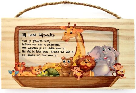 Wandbord Jij bent bijzonder 24,5 x 13 cm dieren