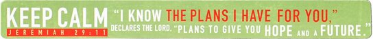 Magneetstrip Keep calm Jeremiah 29:11 19 x 190 mm Magneetstrip Keep calm Jeremiah 29:11 19 x 190 mm