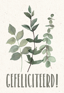 Kaart Gefeliciteerd! (Serenity)