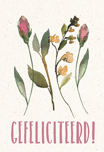 Kaart Gefeliciteerd! (Serenity)