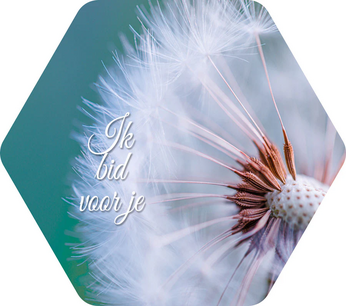 Wandbord Ik bid voor je honingraat 15 cm