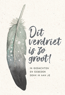 Kaart Dit verdriet is zo groot