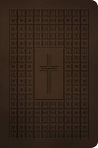 NLT Premium Value Thinline Bible bruin NLT Premium Value Thinline Bible bruin