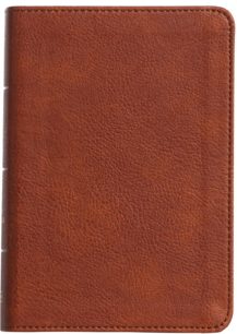KJV Large Print Compact Ref. Bible bruin