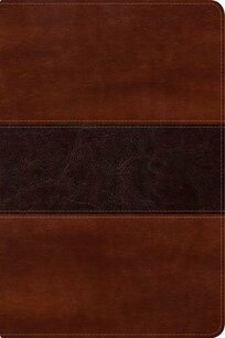 RVR60 Santa Biblia del Pescador letra grande mahonie