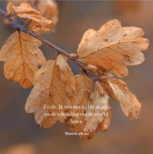 Kaart Herfstblad Mattheüs 28:20