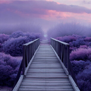 Kaart Houten brug paars