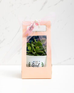 Moederdagspecial 'Geliefd'