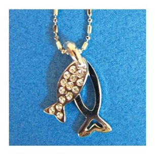 Ketting - Dubbele Vis met glaskristalletjes Ketting - Dubbele Vis met glaskristalletjes